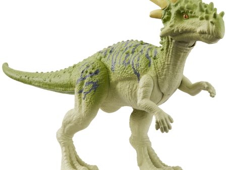 Jurassic World Attack Pack Dracorex on Sale