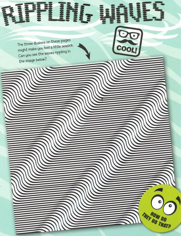 Totally Awesome Illusions Activity Book For Cheap